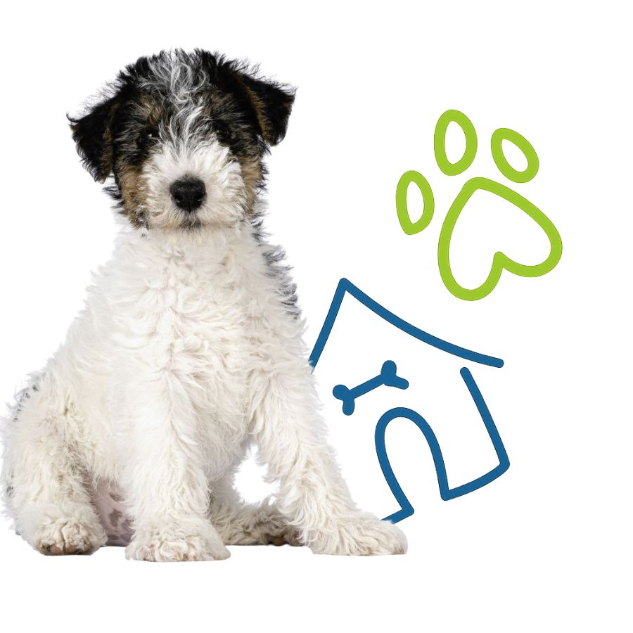 A dog is positioned next to a house, with a paw print