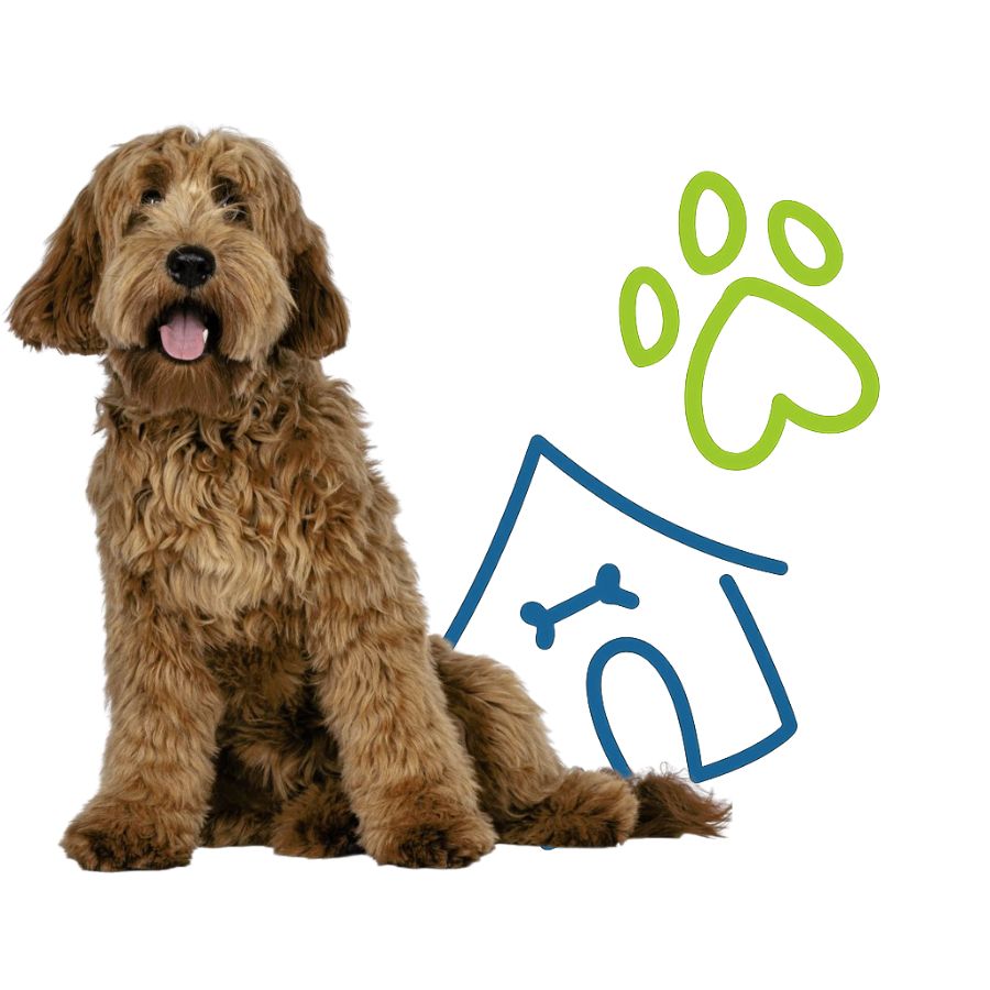 A dog is positioned next to a house
