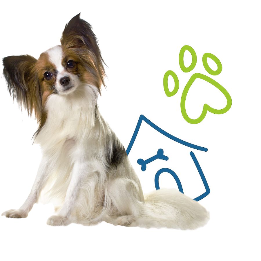 A dog sits beside a dog house
