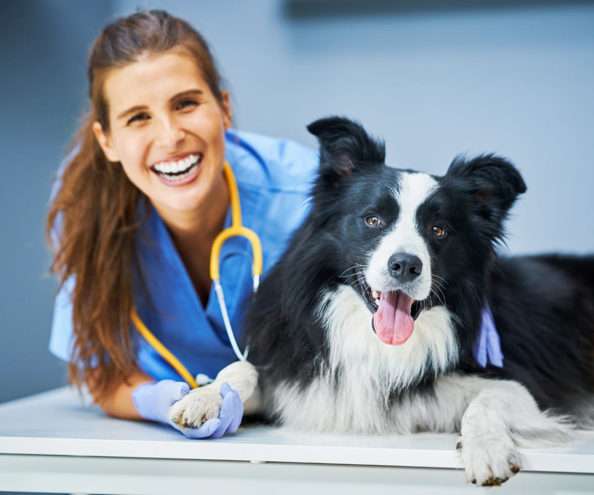 happy-golden-retriever-dog-lying-on-living-room-floor-1200x1000-1 A smiling woman in a blue shirt poses with a dog