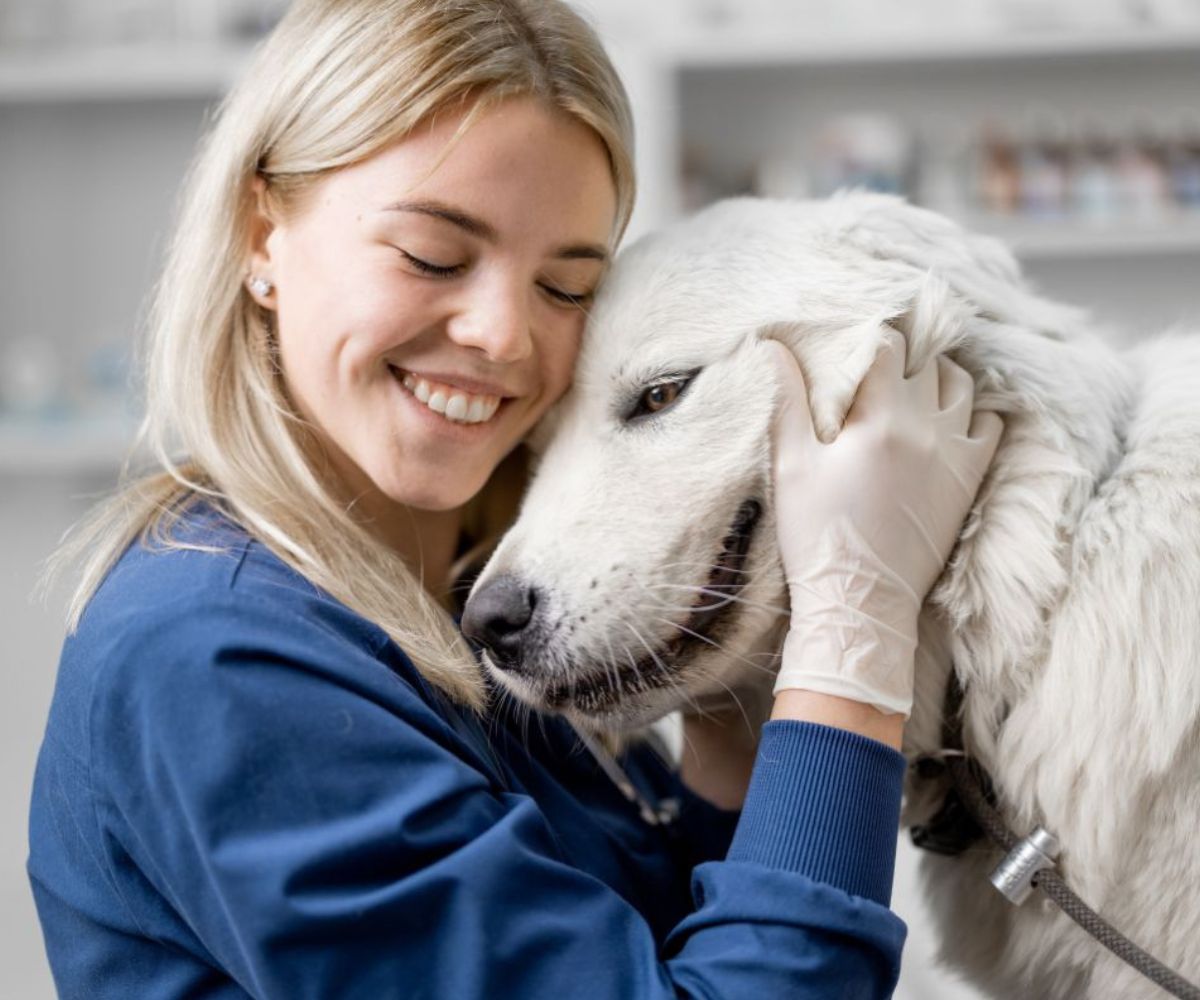 happy-golden-retriever-dog-lying-on-living-room-floor-1200x1000-1 A woman in a blue shirt gently pets a white dog