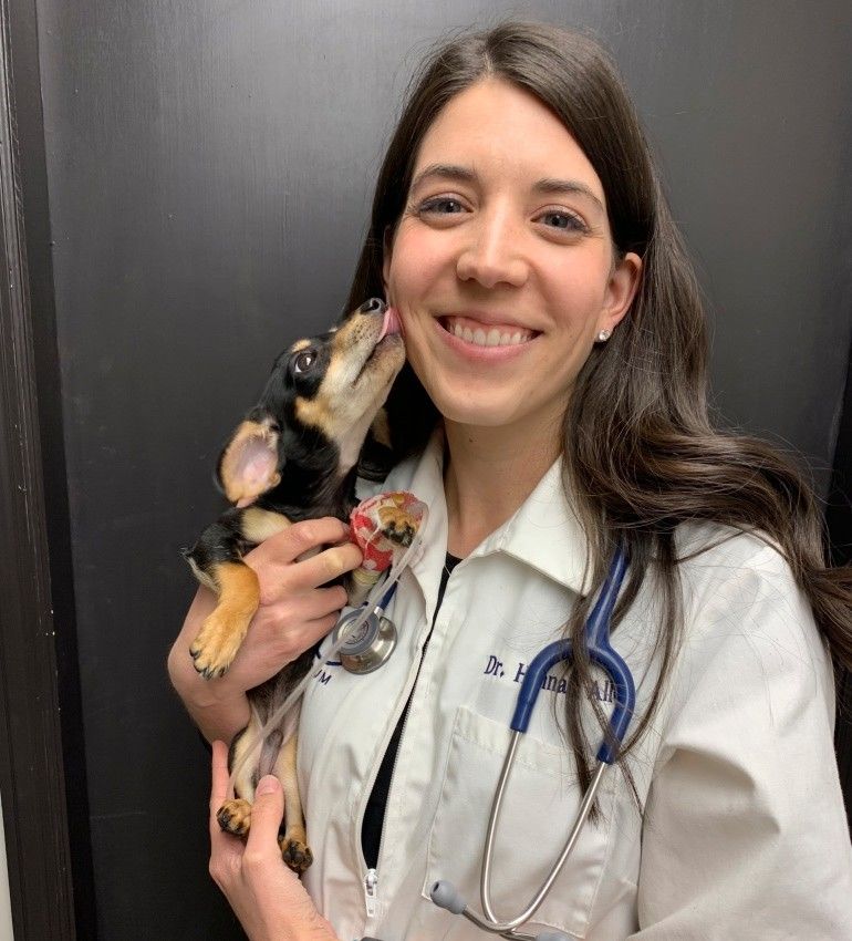 Dr. Hannah Allen