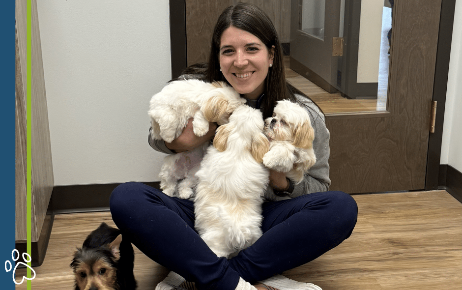 Lyman Sc local family vet, Modern Medicine, Puppies